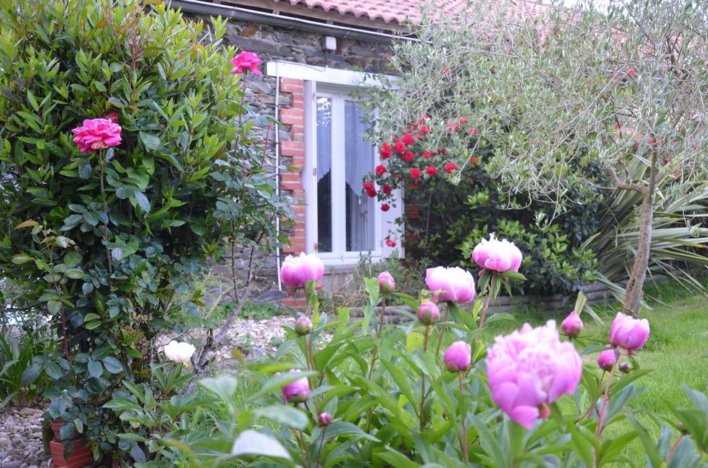 Bed and Breakfast L'Arbre D'Alais Saint-Fulgent Exteriér fotografie